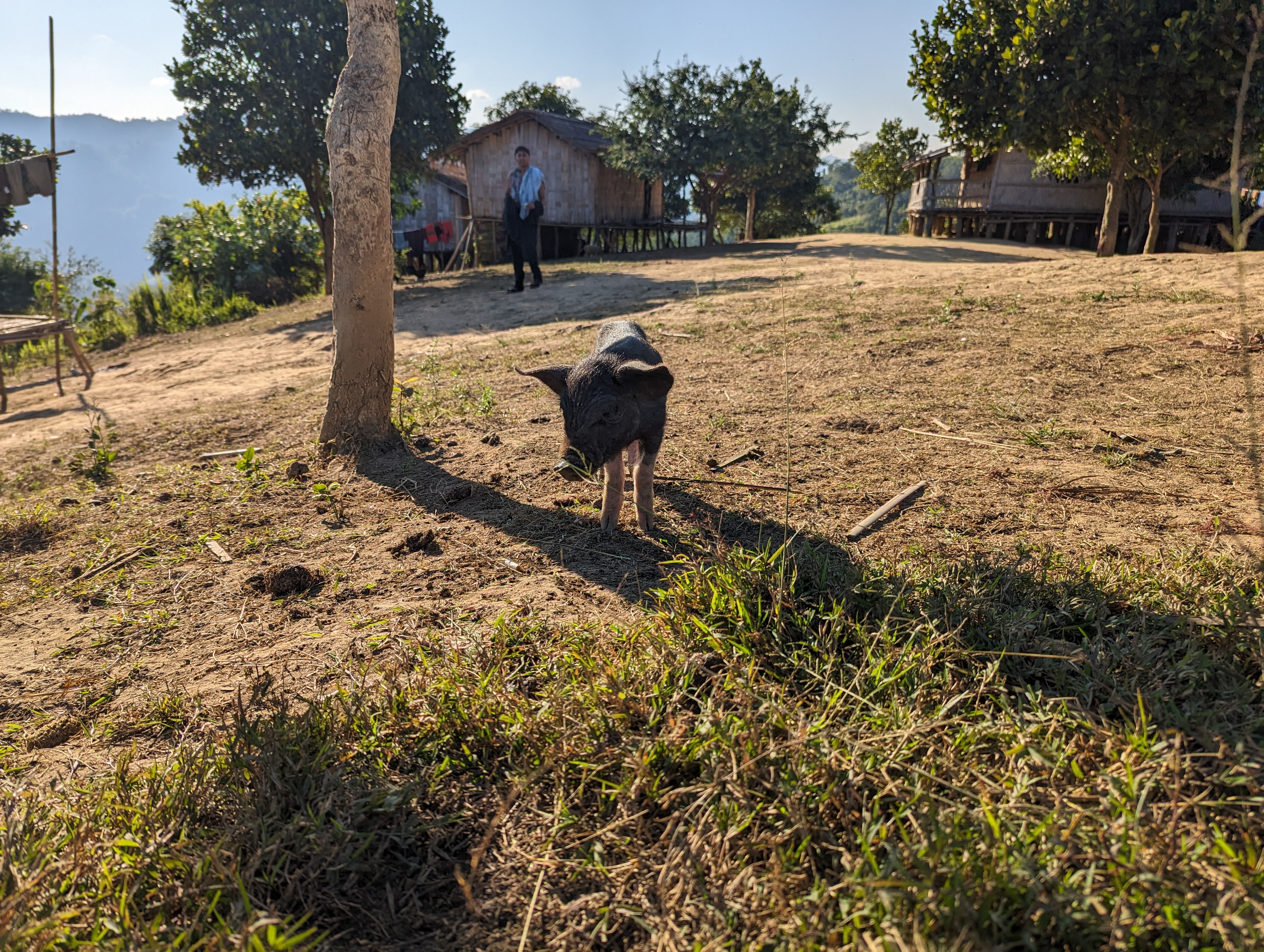 Travel photo from bandarban_2024